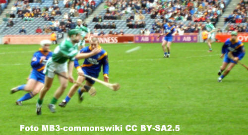 Hurling Sportart