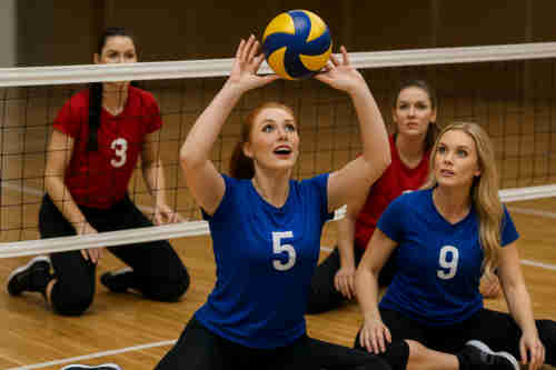 Bild von Sitzvolleyball