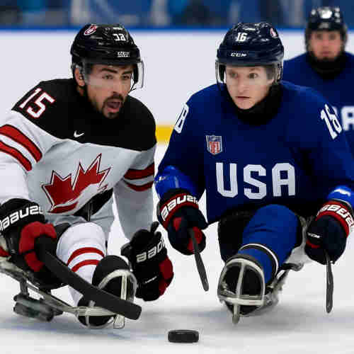 Bild von Sledge-Eishockey