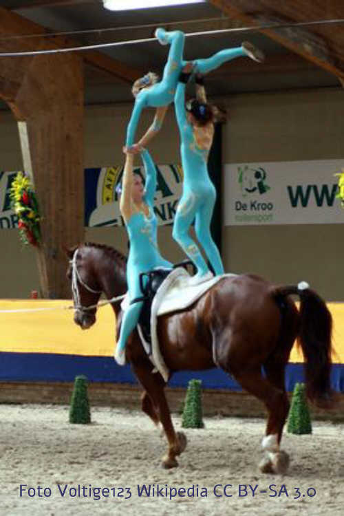 Voltigieren Sportart
